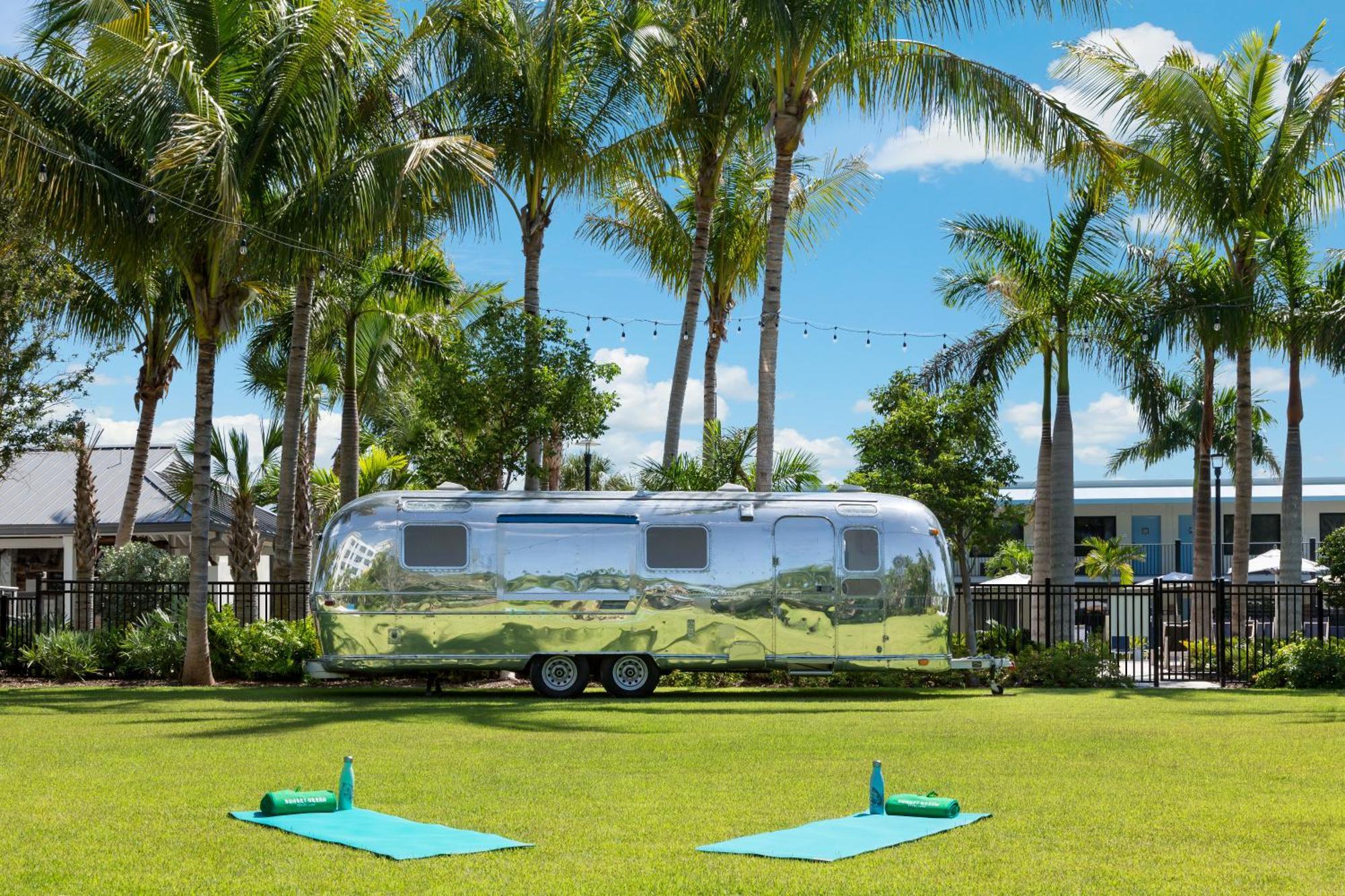 Blue Flamingo 4*