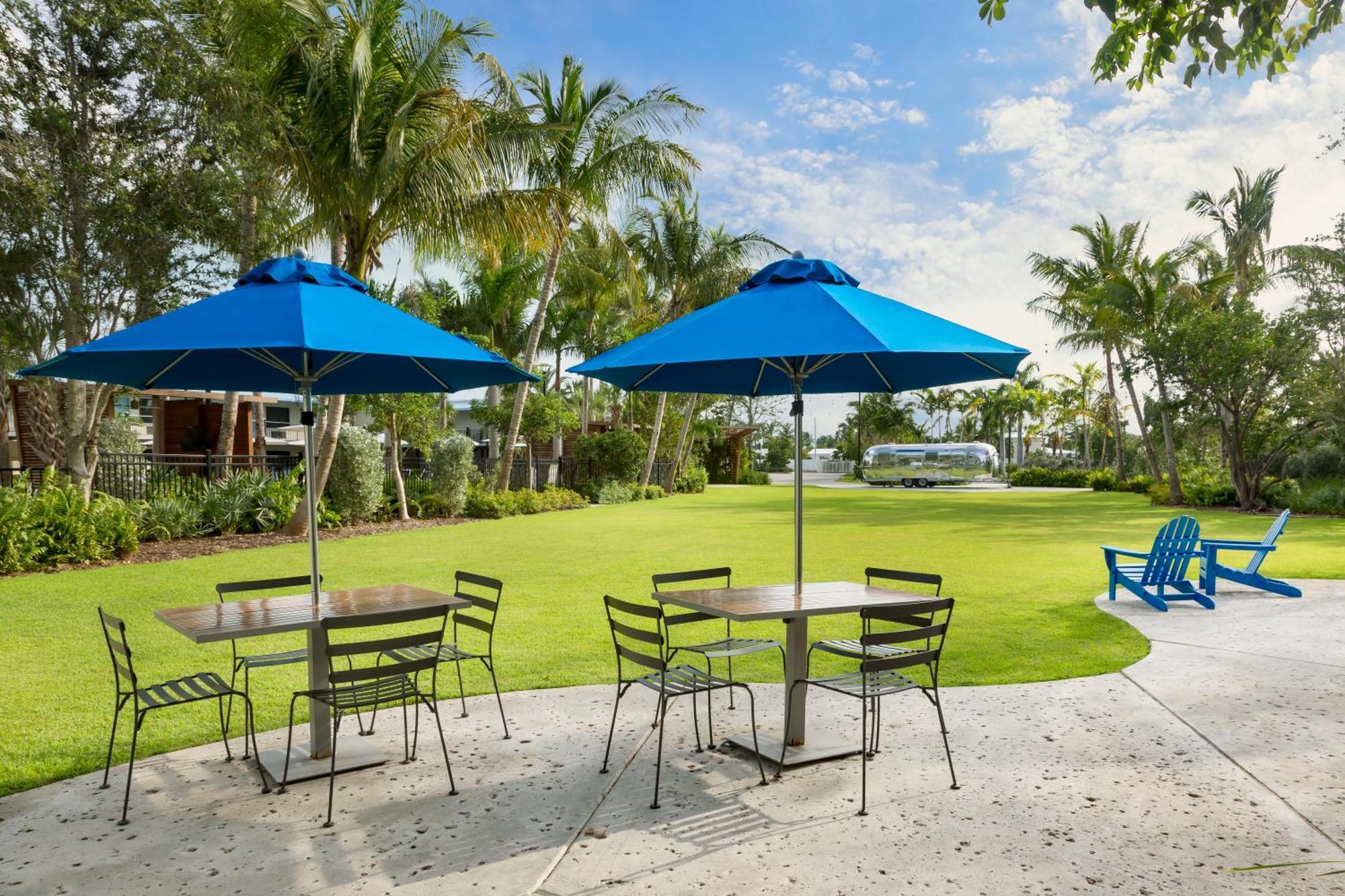 Blue Flamingo 4*