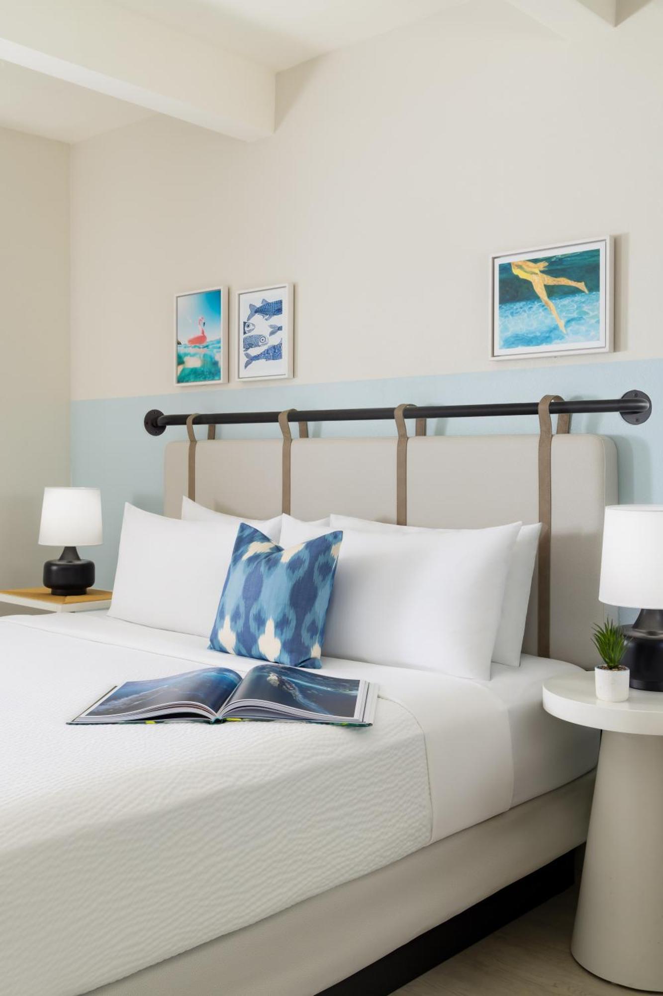 Blue Flamingo Hotel 4*