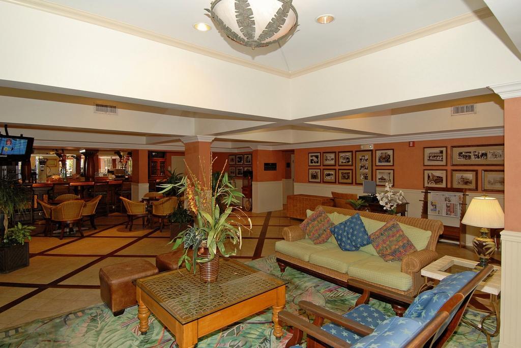 Blue Flamingo Hotel 4*